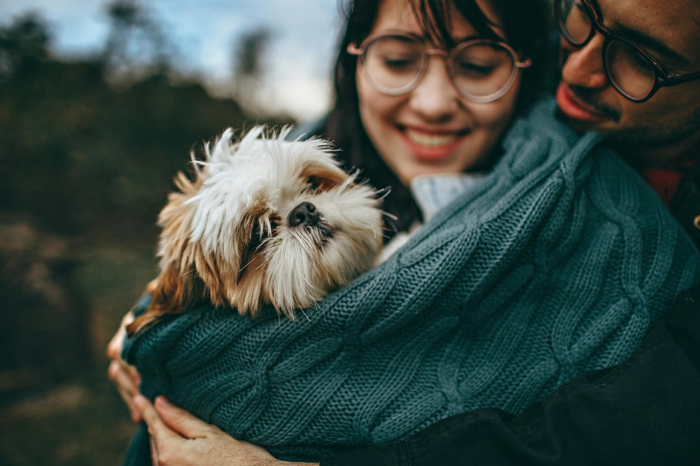 Pet Blankets