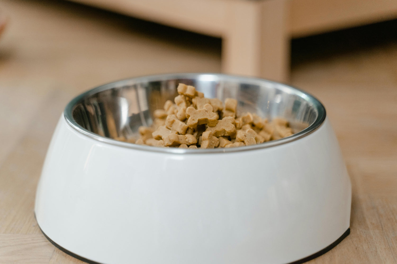 Dog Treats
