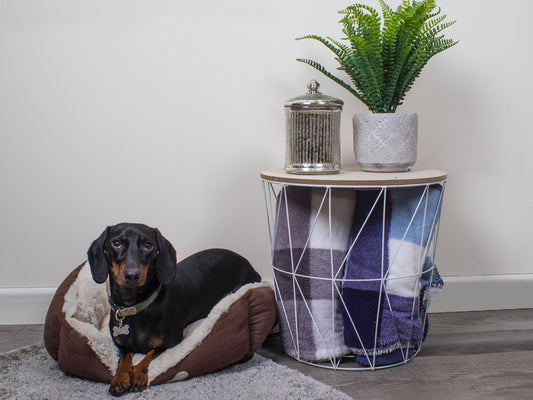 Sweet Dreams Faux Suede Pet Bed Brown